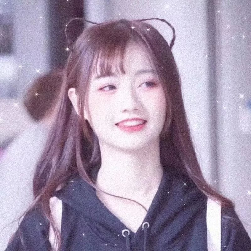 夏日的玫瑰
